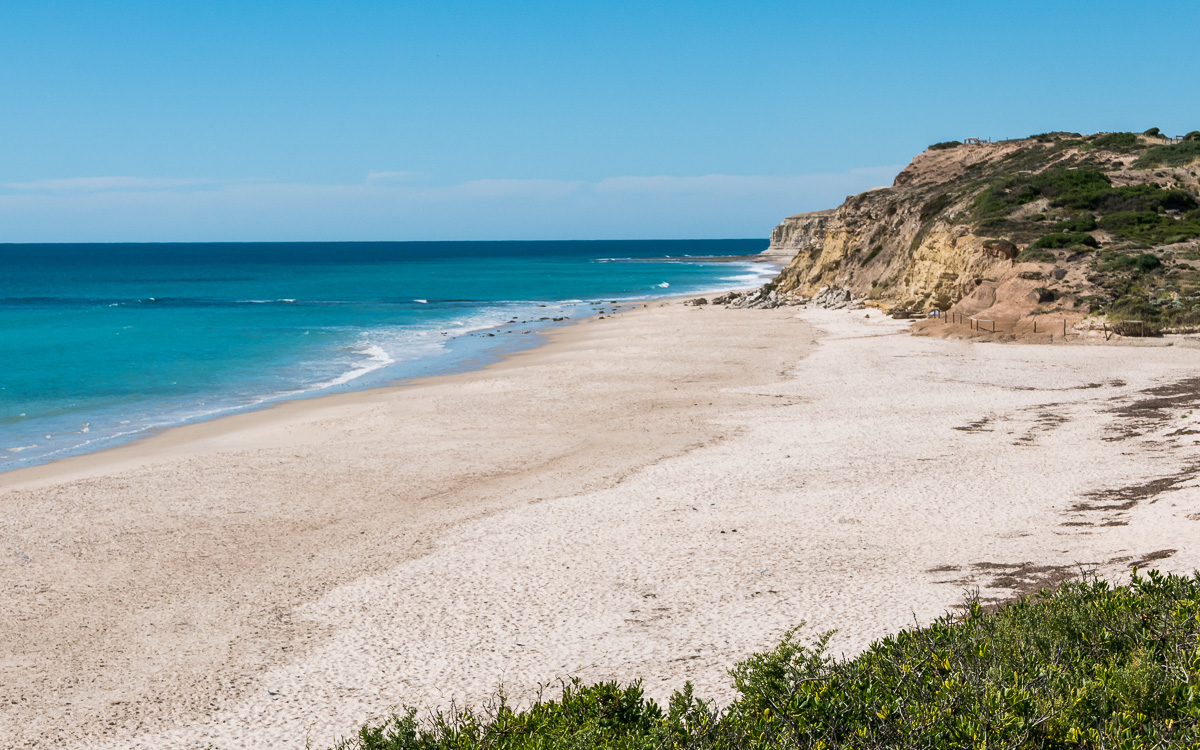 passion project at sunny adelaide beach