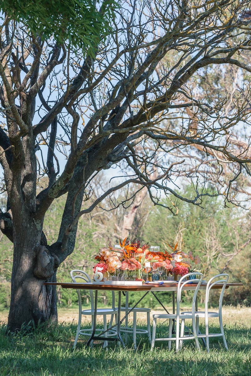 wedding table under tree at wedding at collingrove homestead