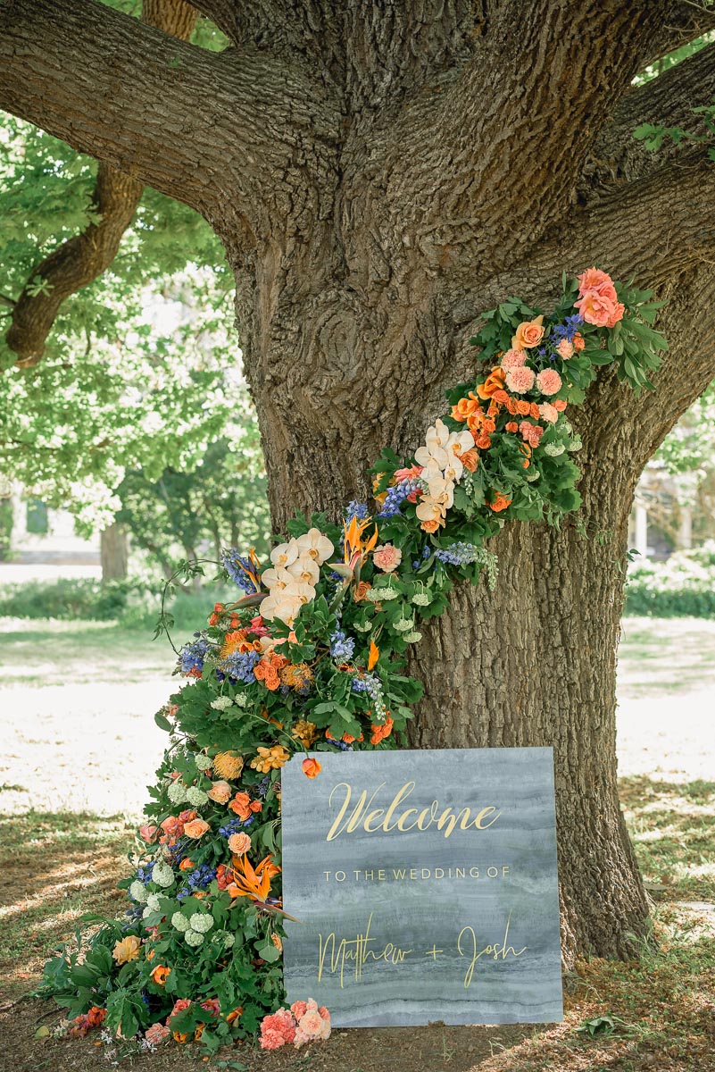 collingrove homestead tree decorated with flowers