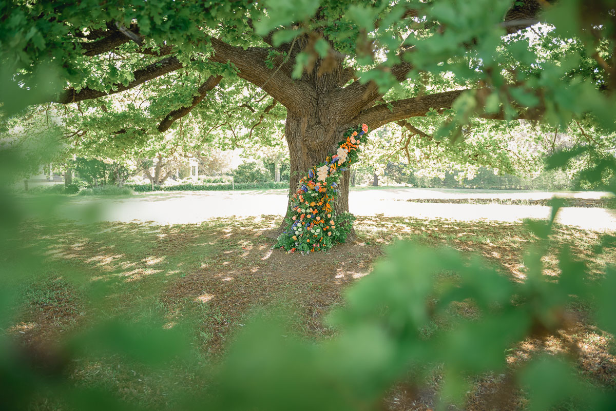 decorated tree with wedding flowers at collingrove homestead