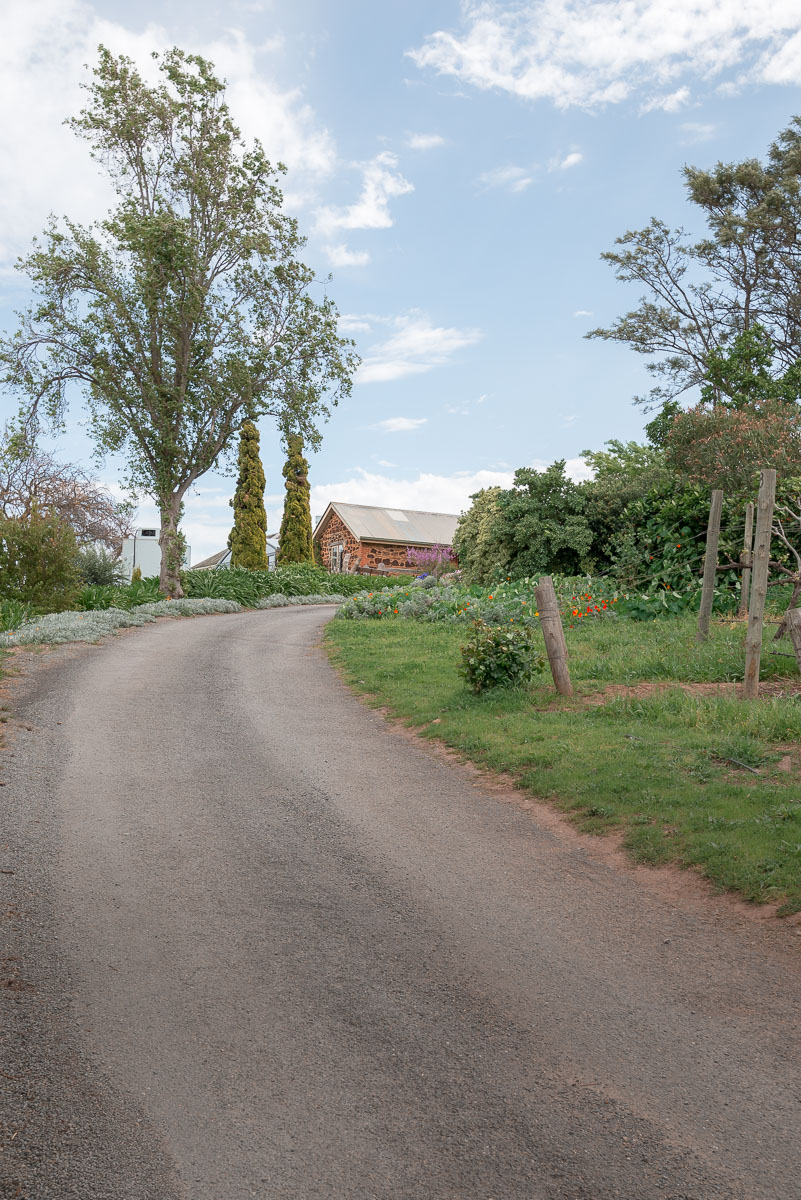 same sex wedding at coriole in mclaren vale