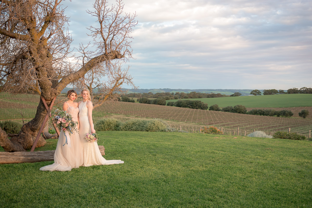 two brides and a landscape at same sex wedding