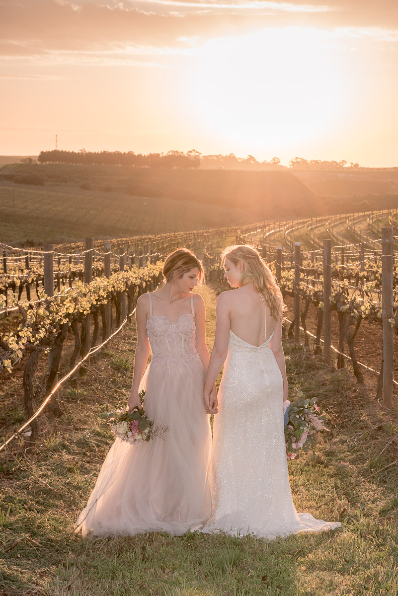two brides at same sex wedding in vineyard with setting sun
