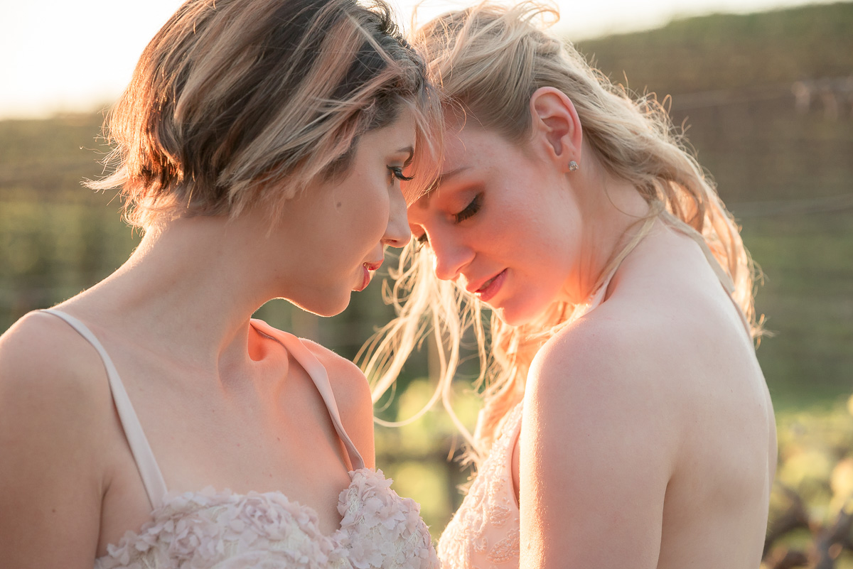 intimate brides at same sex wedding