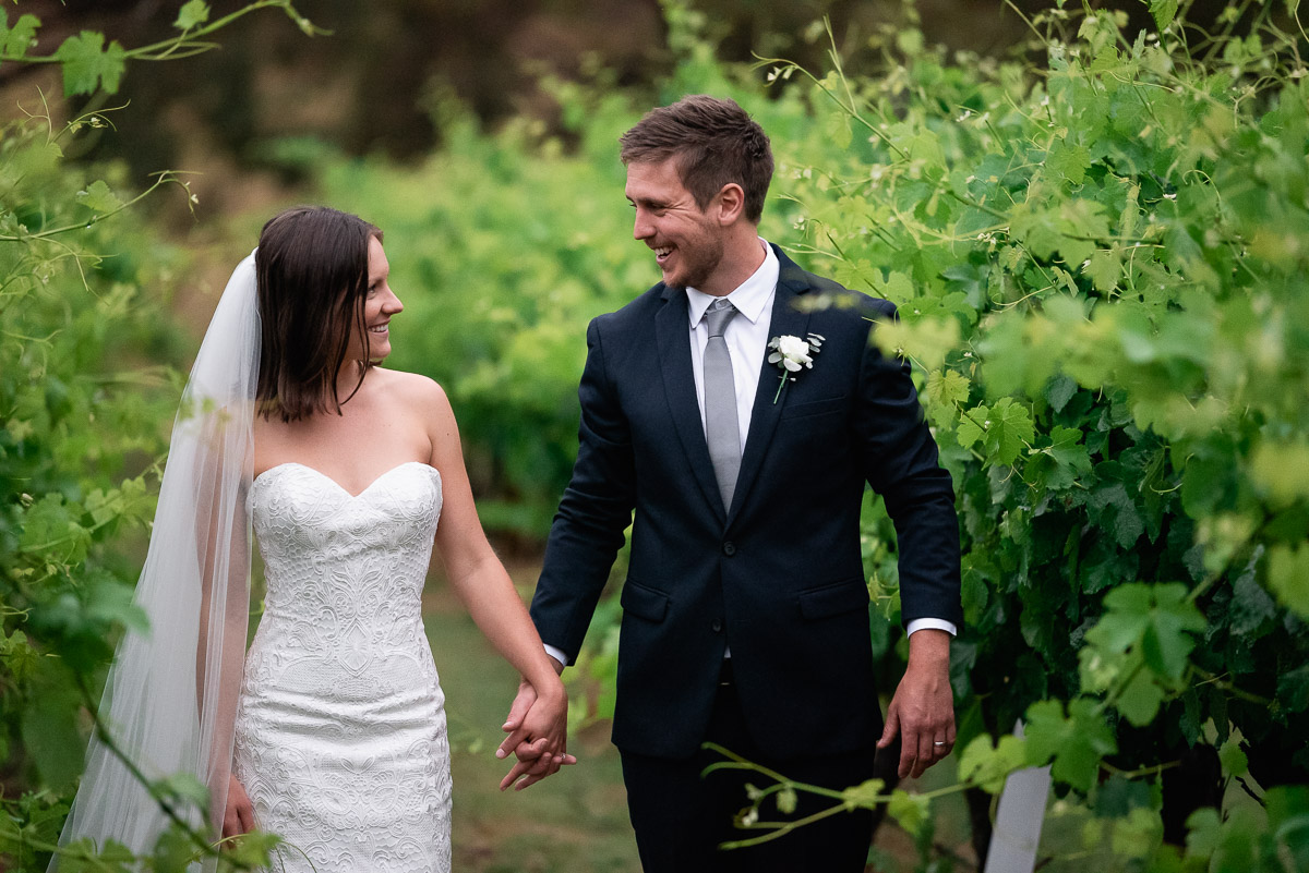just married photography in vineyard