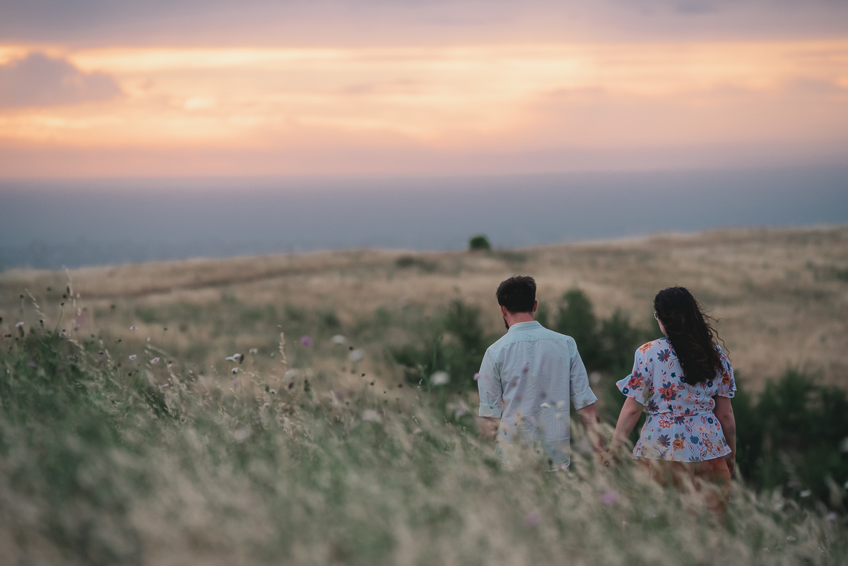 grass and sunset photography