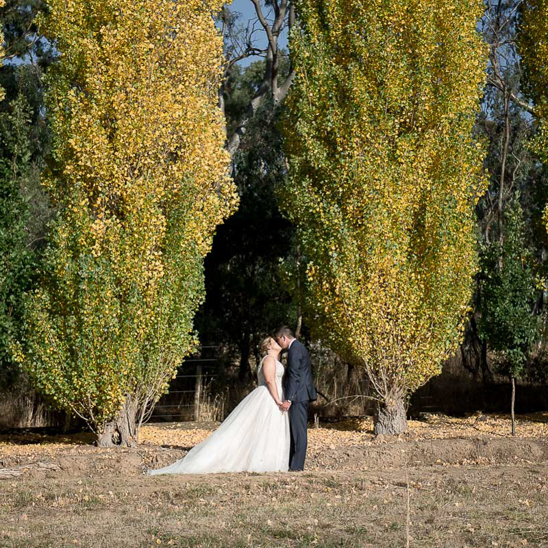 A couple stands in the trees at Glen Ewin Estate, captured by a skilled wedding videographer in Adelaide