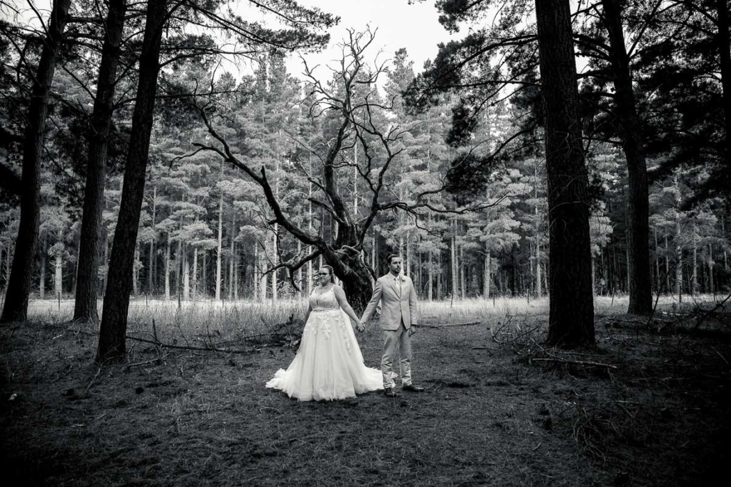 Photo by Adelaide Wedding Photographer - Wilson & Lewis Photography