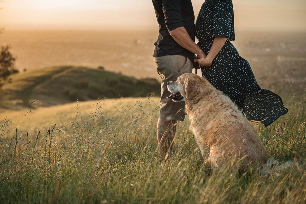 Adelaide Engagement Photos by Wilson and Lewis Photography