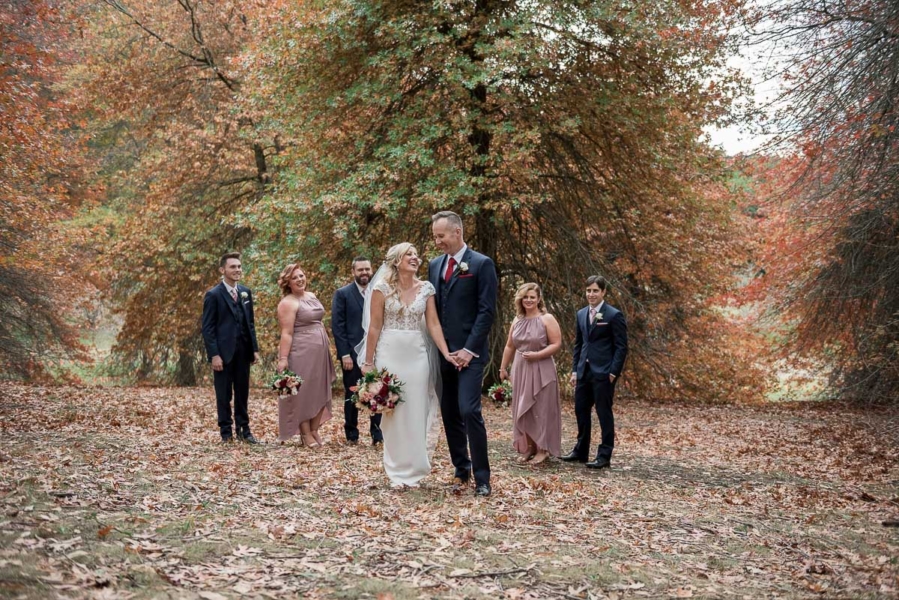 Bridal party in Mount Lofty Botanic Garden by Adelaide Wedding Photographer - Wilson & Lewis Photography