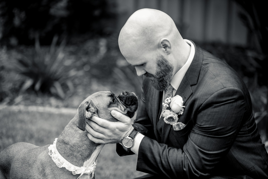 Groom at wedding getting kisses from boxer dog