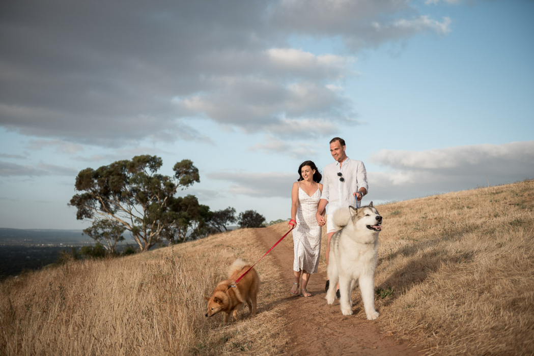 Photos by Adelaide Engagement Photographer - Wilson & Lewis Photography